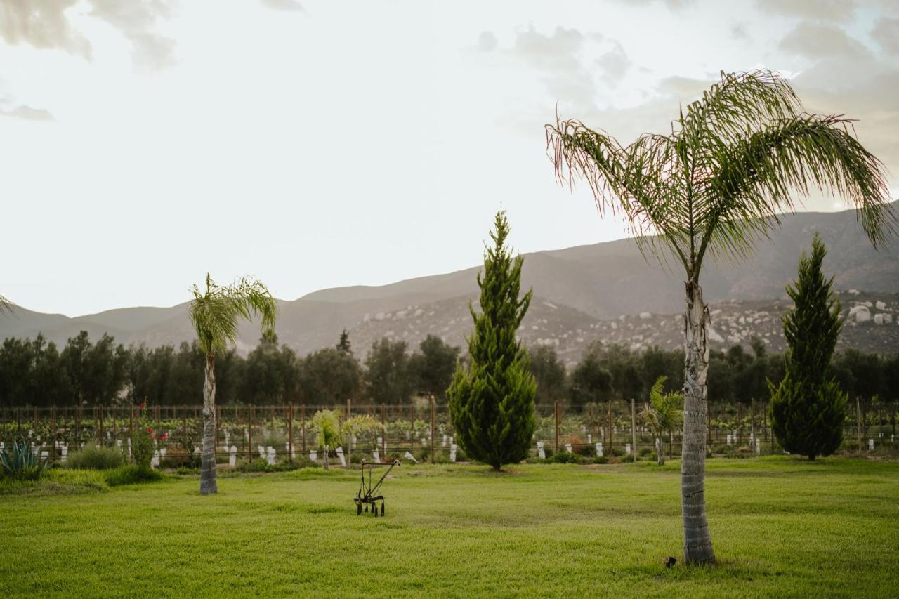 El Porvenir Suenos Resort מראה חיצוני תמונה