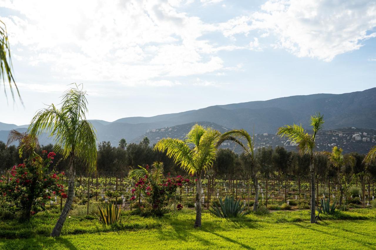 El Porvenir Suenos Resort מראה חיצוני תמונה